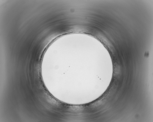 X0000091310836200708101107