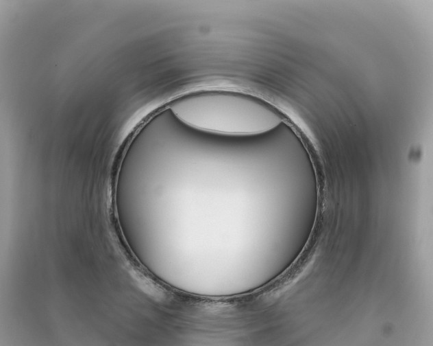 X0000091310837200708101107