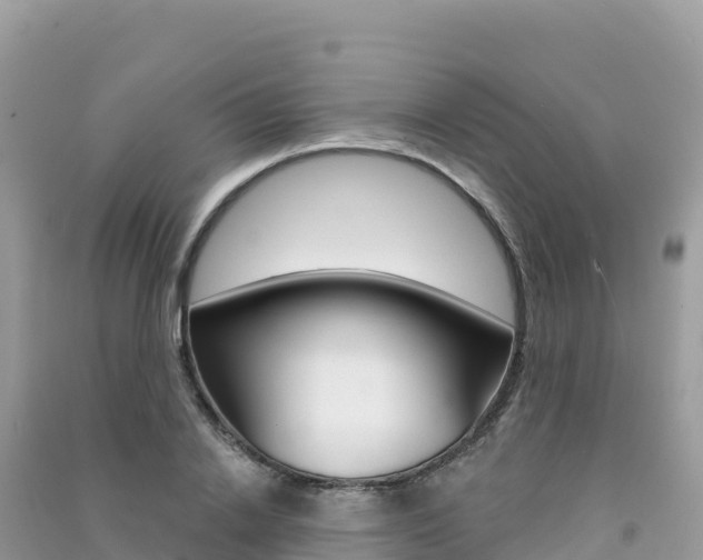 X0000091310838200708101107