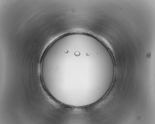 X0000091310839200708101107