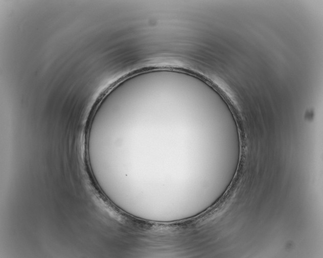 X0000091310840200708101107