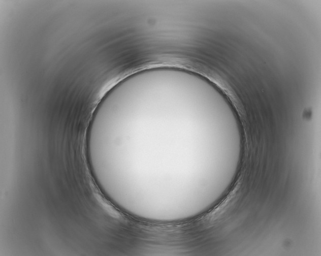 X0000091310842200708101107