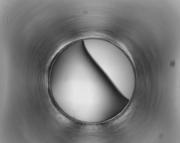 X0000091310843200708101107