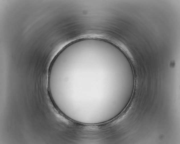 X0000091310844200708101107