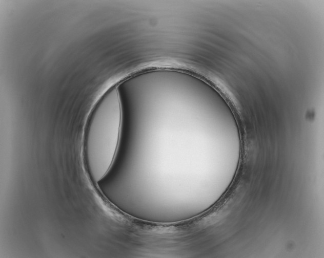 X0000091310845200708101107