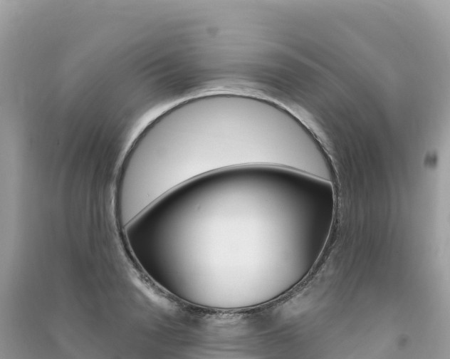 X0000091310846200708101107