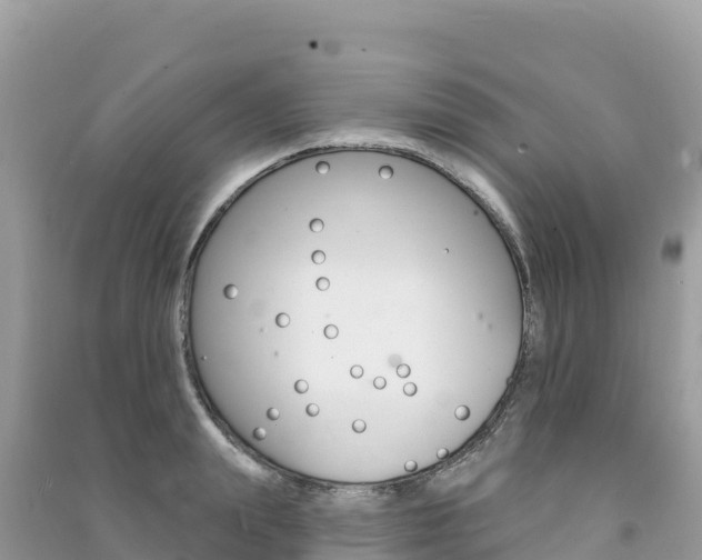 X0000091310847200708101107