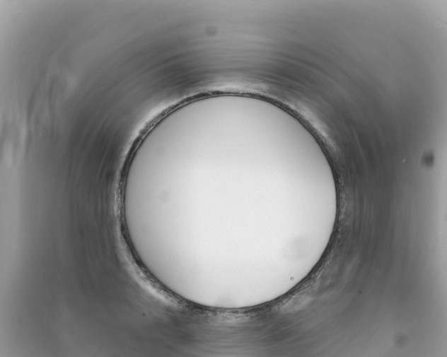 X0000091310848200708101107