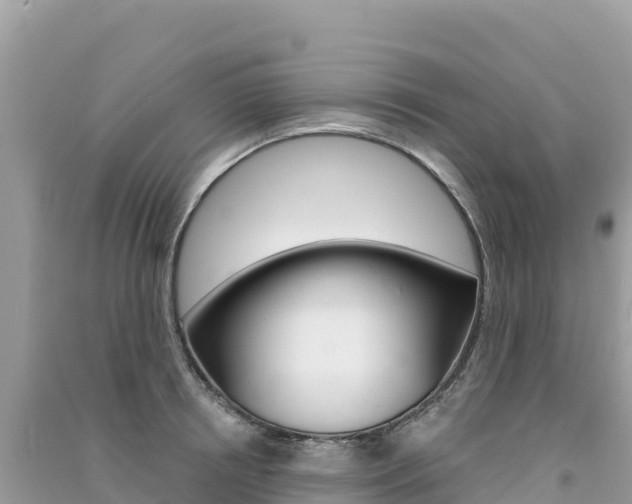 X0000091310850200708101107