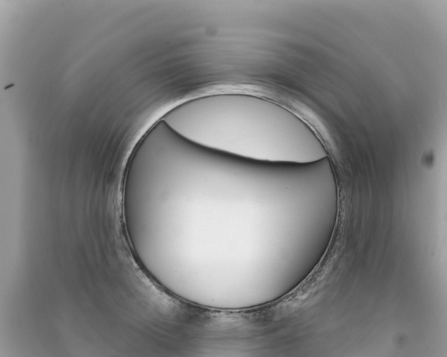 X0000091310852200708101107