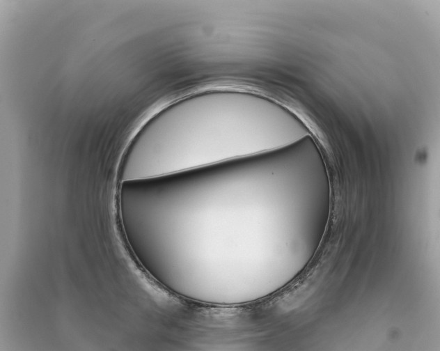 X0000091310853200708101107