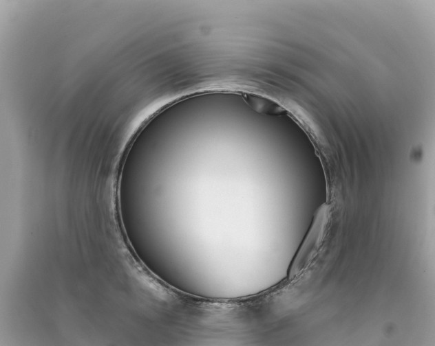 X0000091310854200708101107