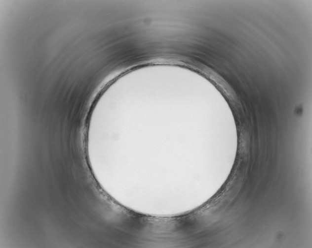 X0000091310856200708101107