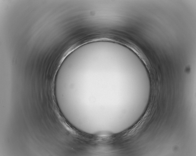 X0000091310858200708101107