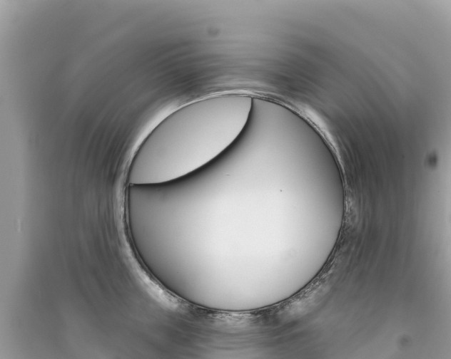 X0000091310859200708101107