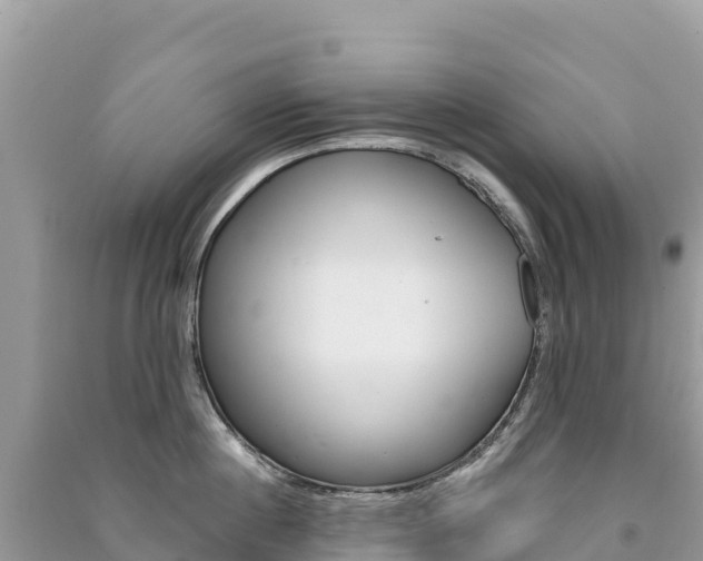 X0000091310860200708101107