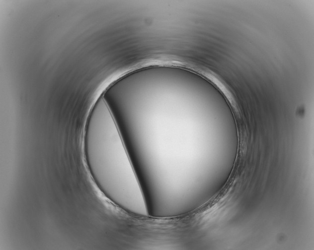 X0000091310861200708101107