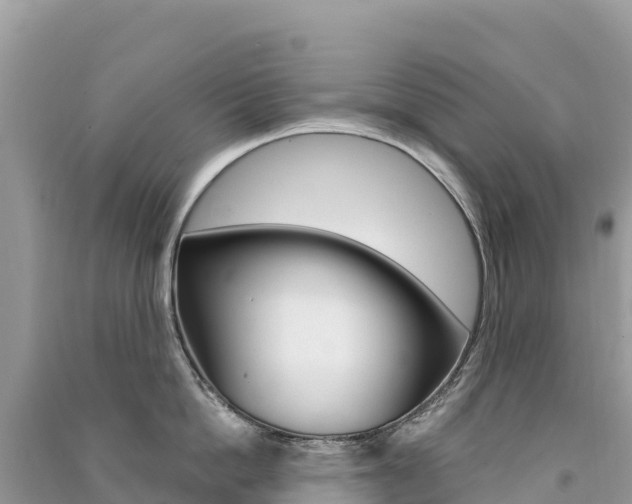 X0000091310862200708101107