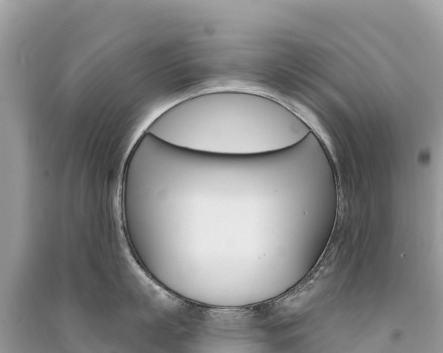 X0000091310863200708101107