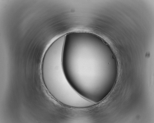 X0000091310864200708101107