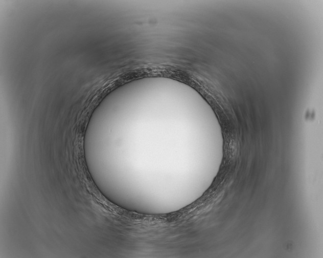 X0000091310865200708101107