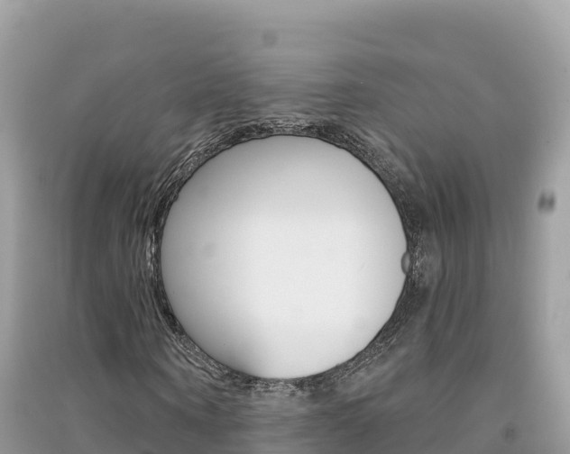 X0000091310866200708101107