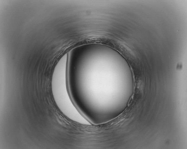 X0000091310868200708101107