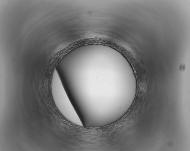 X0000091310869200708101107