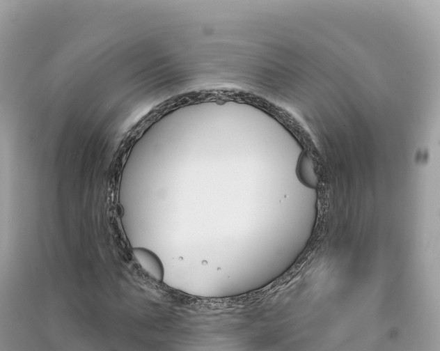 X0000091310871200708101106
