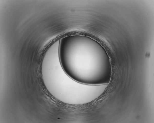 X0000091310872200708101106