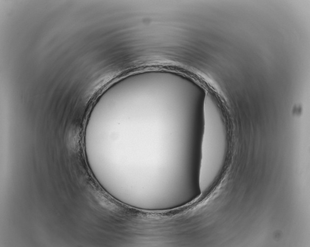 X0000091310873200708101106
