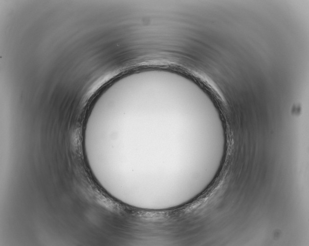 X0000091310874200708101106