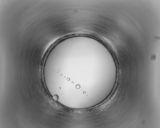 X0000091310875200708101106