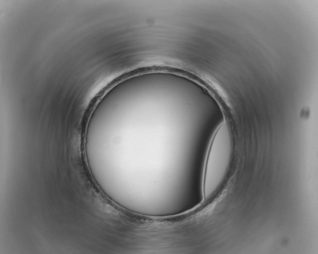 X0000091310877200708101106