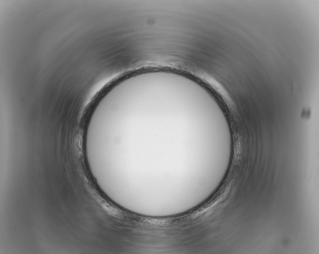 X0000091310878200708101106