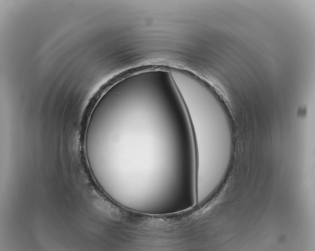 X0000091310880200708101106