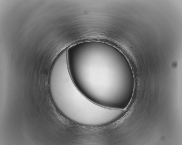 X0000091310881200708101106