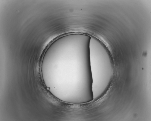X0000091310883200708101106