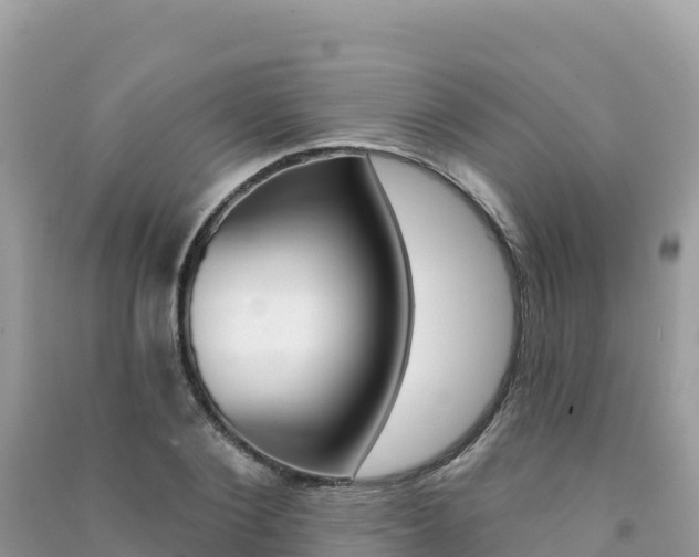 X0000091310884200708101106
