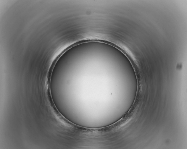 X0000091310885200708101106