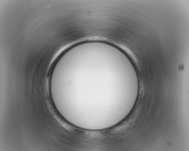 X0000091310886200708101106
