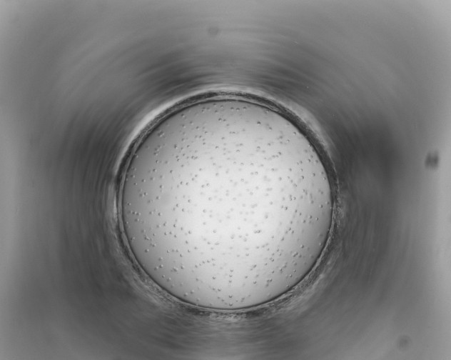 X0000091310887200708101106