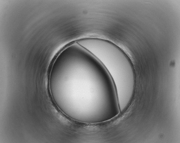 X0000091310888200708101106