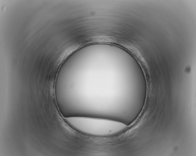 X0000091310889200708101106