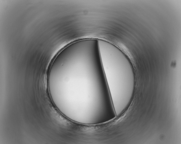 X0000091310892200708101106