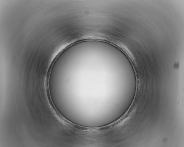 X0000091310893200708101106
