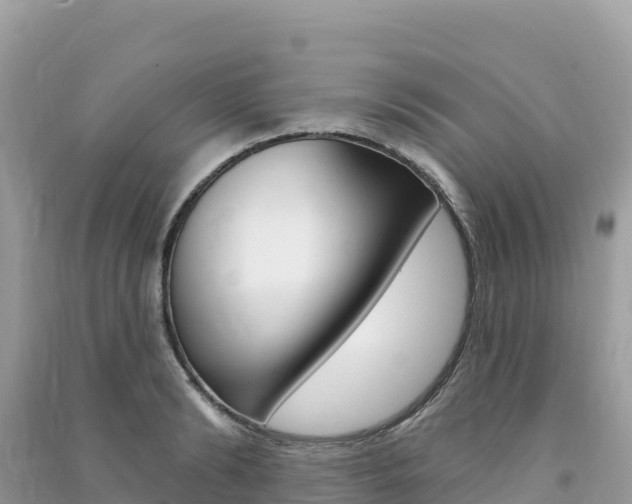 X0000091310894200708101106