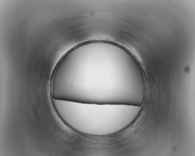 X0000091310895200708101106