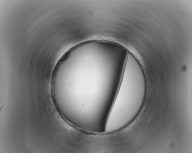 X0000091310896200708101106