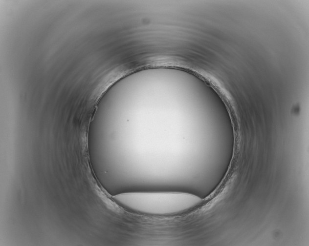 X0000091310897200708101106